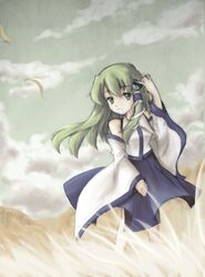  bad_id bad_pixiv_id female frog grass green_eyes green_hair highres kochiya_sanae long_hair nishigyou_teraa snake solo touhou 