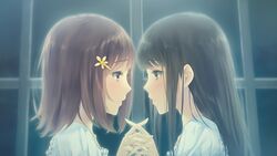  2girls black_eyes black_hair blush brown_hair eye_contact eyelashes face-to-face flowers_(innocent_grey) game_cg hair_ornament hairclip holding_hands interlocked_fingers kousaka_mayuri long_hair looking_at_another moonlight multiple_girls night official_art official_wallpaper portrait shirahane_suou short_hair sugina_miki window yuri 