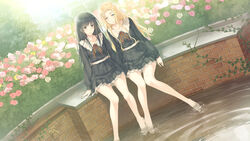  2girls arms_at_sides bare_legs barefoot black_dress black_hair blonde_hair blush brick bush dress dutch_angle faucet flower flowers_(innocent_grey) game_cg garden hair_flower hair_ornament hairclip ivy knees_together_feet_apart komikado_nerine long_hair long_legs long_sleeves matching_outfits multiple_girls neck_ribbon official_art official_wallpaper outdoors parted_lips pink_flower pink_rose plant pleated_dress pond puffy_long_sleeves puffy_sleeves ribbon rose rose_bush school_uniform shirahane_suou short_dress shy side-by-side sitting smile soaking_feet sugina_miki sunlight vines water window yellow_flower yellow_rose 