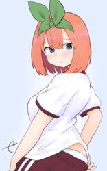  ass blue_background blue_eyes blush breasts brown_shorts commentary_request eyebrows_hidden_by_hair female go-toubun_no_hanayome green_ribbons gym_shirt gym_shorts gym_uniform hair_between_eyes hair_ribbon highres kujou_karasuma looking_at_viewer looking_back medium_breasts nakano_yotsuba orange_hair panties parted_lips puffy_short_sleeves puffy_sleeves ribbon shirt short_sleeves shorts signature simple_background solo sweat underwear white_panties white_shirt 