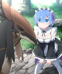  :t bare_shoulders black_dress black_ribbon blue_eyes blue_hair blush breasts cleavage commentary_request day detached_sleeves dress eyebrows eyes_visible_through_hair female frilled_sleeves frills goribote hair_ornament hair_over_one_eye hair_ribbon maid maid_headdress medium_breasts outdoors pantyhose patrasche_(re:zero) pink_ribbon pout puffy_cheeks re:zero_kara_hajimeru_isekai_seikatsu rem_(re:zero) revision ribbon ribbon-trimmed_clothes ribbon_trim roswaal_mansion_maid_uniform short_hair skirt solo underbust v-shaped_eyebrows white_pantyhose x_hair_ornament 