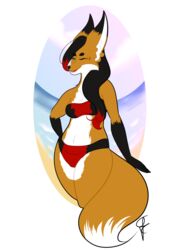  absurd_res beach black_hair canid canine clothing digital_media_(artwork) female fox fur green_eyes hair hi_res lila_fox mammal orange_body orange_fur psycoticsnake seaside solo 