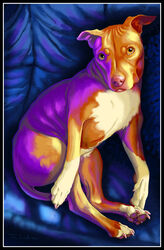  amber_eyes black_border blue_background border canid canine canis domestic_dog feral fur looking_at_viewer lying male mammal pawpads paws pink_nose signature simple_background solo tina_leyk 