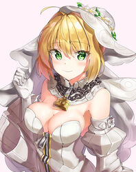  fate/grand_order saber_bride saber_extra sog-igeobughae tagme 