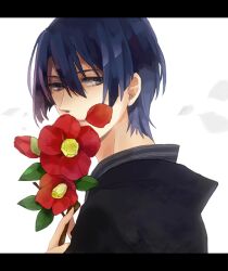  1boy bad_id bad_pixiv_id bishounen blue_hair camellia flower hijirikawa_masato kinugoshi_(r_510) letterboxed male_focus photoshop_(medium) red_flower solo uta_no_prince-sama 