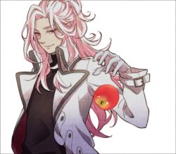  1boy apple bishounen border coat commentary_request food fruit gloves long_hair looking_at_viewer male_focus mamefuku mawaru_penguindrum md5_mismatch pink_eyes pink_hair simple_background smirk solo turtleneck watase_sanetoshi white_gloves 