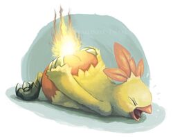  ambiguous_gender ass big_butt burning butt_on_fire closed_eyes combusken digital_media_(artwork) digital_painting_(artwork) feathers fire game_freak generation_3_pokemon hand_on_butt nintendo open_mouth pain pokemon pokemon_(species) shaded solo twarda8 