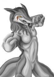  2015 anthro blood blood_warpaint bodily_fluids breasts claws featureless_breasts featureless_crotch female forked_tongue fur grey_body grey_fur grey_hair hair hi_res long_hair markings navel nude open_mouth pupils rain_silves sacrificabominat sergal simple_background slit_pupils small_breasts solo tail teeth tongue tongue_out white_background white_body white_fur yellow_eyes 