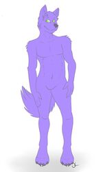  2012 3:5 anthro biped canid canine canis fur male mammal monsterdrool purple_body purple_fur sekotta simple_background solo standing tail white_background wolf young young_anthro young_male 