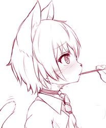  1boy animal_ears blush cat_boy cat_ears cat_tail commentary_request food furry furry_male kida_kuro_mu monochrome original pocky shiro_(kida_kuro_mu) short_hair simple_background tail white_background 