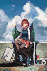  absurdres bad_id bad_pixiv_id bird blue_eyes cloud day female garden_gnome highres igugugugu outdoors pantyhose red_hair school_uniform seagull shoes sign sitting sneakers solo toilet_paper 