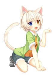  1boy animal_ears blue_eyes blush cat_boy cat_ears cat_tail commentary_request heterochromia highres kida_kuro_mu looking_at_viewer male_focus open_mouth original otoko_no_ko paw_pose shiro_(kida_kuro_mu) short_hair shorts simple_background slit_pupils smile solo tail white_background yellow_eyes 