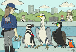  african_penguin ambiguous_gender aquarium avian bird bucket clothed clothing container coraciiform cormorant female feral great_heron grey_heron group heron human ka92 kingfisher male mammal pelecaniform penguin vivarium waiting 