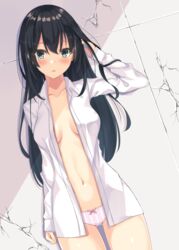  aqua_eyes black_hair blush breasts breasts_apart collarbone collared_shirt commentary_request cowboy_shot dress_shirt female hand_up hatsu_(first_snow) long_hair long_sleeves looking_at_viewer medium_breasts navel no_bra no_pants open_clothes open_shirt original panties parted_lips shirt solo underwear white_panties white_shirt 