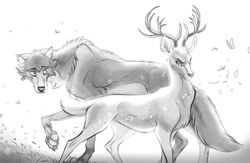  2020 antlers arthropod beastars butterfly canid canine canis cervine cheek_tuft claws deer deygira-blood duo_focus facial_tuft feral feralized fur group horn insects legoshi_(beastars) lepidopteran louis_(beastars) male mammal red_deer simple_background toe_claws tuft white_background wolf 