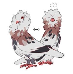  ambiguous_gender avian avian_feet beak bird columbid feral fluffy looking_at_viewer multicolored_body nightcrow pigeon pink_eyes ruff simple_background solo standing white_background 