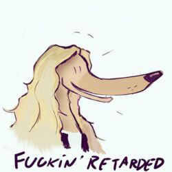 1:1 ableist_slur afghan_hound ambiguous_gender blonde_hair canid canine canis dogson domestic_dog english_text hair humor hunting_dog icon low_res mammal profanity reaction_image sighthound simple_background slur solo text white_background