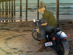  anthro beach boots canid canine canis clothing digital_media_(artwork) dobermann domestic_dog footwear full-length_portrait harley_davidson hi_res male mammal motorcycle photo_background photography_(artwork) pinscher portrait seaside solo thehuntingwolf vehicle 