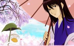  elizabeth gintama tagme 