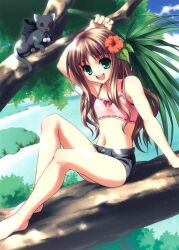  barefoot brown_hair feline flower green_eyes long_hair navel open_mouth short_jeans shorts sitting tree 