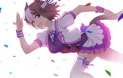  animal_ears breasts brown_hair commentary_request eyebrows_visible_through_hair eyelashes female fukuro_ko_(greentea) highres horse_ears horse_girl horse_tail looking_at_viewer multicolored_hair neck_ribbon open_mouth purple_eyes purple_ribbon ribbon running short_hair short_sleeves smile solo special_week tail teeth thighhighs tongue two-tone_hair umamusume upper_teeth white_legwear 