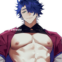  1boy :3 bare_pectorals bishounen blue_hair closed_mouth dark_blue_hair eriimyon green_eyes hair_over_one_eye highres honkai:_star_rail honkai_(series) large_pectorals looking_at_viewer male_focus nipples pectorals sampo_koski short_hair simple_background smile solo upper_body 