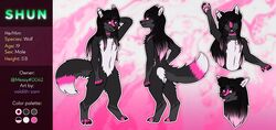  2021 absurd_res anthro ass black_body black_fur black_hair butt_heart canid canine canis digital_media_(artwork) english_text femboy fur hair hi_res hindpaw long_hair looking_at_viewer male mammal model_sheet nude paws piercing pink_body pink_eyes pink_fur pink_hair shun_(messy) simple_background smile solo standing text tongue tongue_out valdith_zam white_body white_fur wolf 