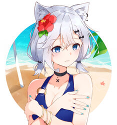  animal_ears aqua_nails bad_id bad_pixiv_id beach black_bow black_choker blue_eyes blush bow bracelet breasts choker cleavage commentary_request female fingernails flower hair_flower hair_ornament hairbow hibiscus highres hikari_yui jewelry o-ring o-ring_swimsuit ocean original outdoors purple_eyes silver_hair solo starfish swimsuit 