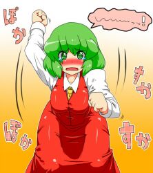  bad_id bad_pixiv_id blush female futaba_suetsuki green_eyes green_hair kazami_yuuka solo tears touhou 