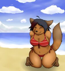  anthro avoid_posting beach bikini canid canine closed_eyes clothed clothing digital_media_(artwork) female fox mammal outside seaside skimpy sky smile solo swimwear tacoyaki 