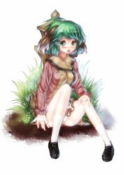  animal_ears blush commentary_request female green_eyes green_hair highres kasodani_kyouko loafers oerba_yun_fang panties pantyshot sakimori_dan shoes short_hair sitting skirt socks solo stone_lantern tail touhou underwear white_panties white_socks 