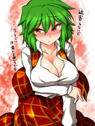  blush breasts cleavage commentary_request female green_hair highres kazami_yuuka large_breasts plaid plaid_skirt plaid_vest red_eyes roki_(hirokix) shirt short_hair skirt skirt_set smell solo sweat touhou translated vest 