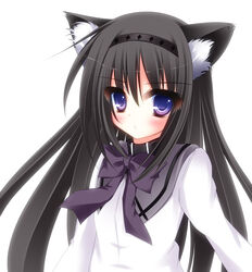  akemi_homura akemi_homura_(magical_girl) animal_ears bad_id bad_pixiv_id black_hair blue_eyes blush cat_ears female kemonomimi_mode long_hair mahou_shoujo_madoka_magica mahou_shoujo_madoka_magica_(anime) photoshop_(medium) rokudou_itsuki simple_background solo upper_body 