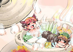  2girls absurdres animal_ears bathing blush braid cat_ears cat_tail chen closed_eyes commentary_request earrings food highres in_food jewelry kaenbyou_rin mini_person minigirl multiple_girls multiple_tails neko_nabe nude oerba_yun_fang pot pun same-sex_bathing shared_bathing shinapuu soup tail too_literal touhou twin_braids twintails vegetable 