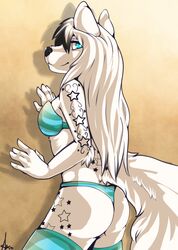  2013 anthro ass black_hair black_nose blue_eyes bra canid canine canis clothing female hair legwear long_hair looking_at_viewer looking_back mammal multicolored_hair panties shariea smile solo stockings tattoo thong underwear vindictiivespet white_body white_hair white_skin wolf 