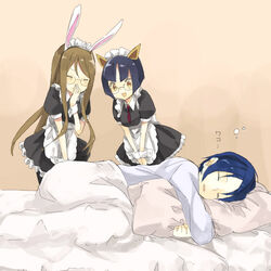  1boy 2girls animal_ears bad_id bad_pixiv_id blue_hair brown_eyes brown_hair closed_eyes glasses hariko long_hair maid multiple_girls pajamas pantyhose pillow rabbit_ears shindou_sugata short_hair sleeping star_driver sugatame_tiger yamasugata_jaguar 