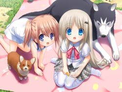  2girls :d all_fours aqua_eyes arizuki_shiina bat_hair_ornament blue_eyes bottle bow bow_legwear canine crescent dress game_cg grass hair_ornament kud_wafter little_busters! long_hair multiple_girls na-ga noumi_kudryavka open_mouth orange_hair pink_bow plaid plaid_skirt ribbon sand seiza short_hair sitting skirt smile star_(symbol) star_print strelka sundress thighhighs twintails very_long_hair white_hair white_thighhighs zettai_ryouiki 