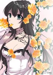  bare_shoulders black_hair breasts cleavage commentary_request dress dress_flower elbow_gloves female flower gloves gradient_background green_eyes hal_(goshujinomocha) hand_up long_hair mouth_hold orange_flower orange_petals orange_rose original petal_in_mouth petals pink_background plant rose simple_background solo thorns vines white_background white_gloves 