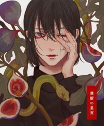  1boy animal bishounen black_hair black_shirt bob_cut brown_eyes closed_mouth commentary fig fig_leaf fingernails food fruit green_snake hair_between_eyes hand_on_own_face highres kagoya1219 leaf long_sleeves looking_at_viewer male_focus one_eye_closed original plant shirt short_hair snake solo translated turtleneck upper_body white_background 