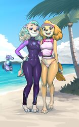  2023 3_toes 4_fingers 5:8 absurd_res anthro anthrofied barefoot beach bikini bikini_bottom bird_dog blue_eyes canid canine canis clothed clothing cockapoo cocker_spaniel coral_(paw_patrol) diacordst domestic_dog duo exposure_variation feet female fingers gloves_(marking) hair hand_on_hip hi_res hunting_dog leg_markings looking_at_viewer mammal markings mixed_breed multicolored_body multicolored_hair navel open_mouth open_smile outside partially_clothed pasties paw_patrol purple_eyes sea seaside skye_(paw_patrol) smile socks_(marking) spaniel standing swimwear toes two_tone_body water wetsuit 