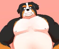  2019 anthro belly bernese_mountain_dog blush canid canine canis domestic_dog kick_(artist) male mammal molosser moobs mountain_dog nipples overweight overweight_anthro overweight_male pink_background simple_background solo swiss_mountain_dog 