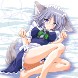  animal_ears dog_ears dog_tail female inu_sakuya izayoi_sakuya maid reverse_noise tail touhou yamu_(reverse_noise) 