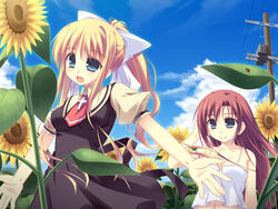  2girls :d air_(visual_novel) antennae ascot black_dress blonde_hair blue_eyes blue_sky brown_hair cloud day dress field flower flower_field kamio_haruko kamio_misuzu long_hair moriguchi_yuu multiple_girls open_mouth outdoors outstretched_arms puffy_short_sleeves puffy_sleeves short_sleeves sky smile sunflower sunflower_field very_long_hair 