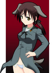  animal_ears brown_eyes dog_ears dog_girl dog_tail female gertrud_barkhorn hyokkori_tamago military military_uniform no_pants panties solo strike_witches tail underwear uniform world_witches_series 