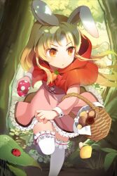  animal_ears basket blonde_hair bridal_garter bug cannelle_(sword_girls) carrot female frilled_skirt frills gilse holding hood hood_down ladybug leaf leg_up long_hair lowres mushroom orange_eyes photoshop_(medium) rabbit_ears running skirt solo sword_girls thighhighs tree white_thighhighs 