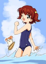  artist_request beach friends hamster hamtaro hamtaro_(hamtaro) haruna_hiroko ocean school_swimsuit sea seed splashing sunflower_seed swimming swimsuit 