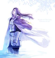  1boy armor bad_id bad_pixiv_id cape character_name fate/zero fate_(series) lancelot_(fate/zero) long_hair male_focus no_headwear photoshop_(medium) purple_hair solo spoilers srb7606 