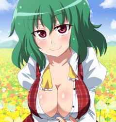  ascot breasts cleavage collarbone commentary day dress_shirt female green_hair kazami_yuuka large_breasts looking_at_viewer outdoors red_eyes shirt short_hair smile solo super_masara touhou upper_body vest 