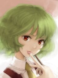  ascot bad_id bad_pixiv_id female finger_to_mouth green_hair kazami_yuuka lips looking_at_viewer portrait red_eyes shirt short_hair smile solo touhou urin vest 