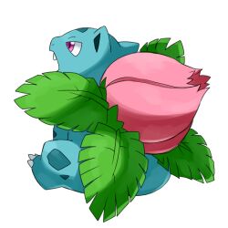  flower good_frog ivysaur nintendo no_humans plant pokemon simple_background 